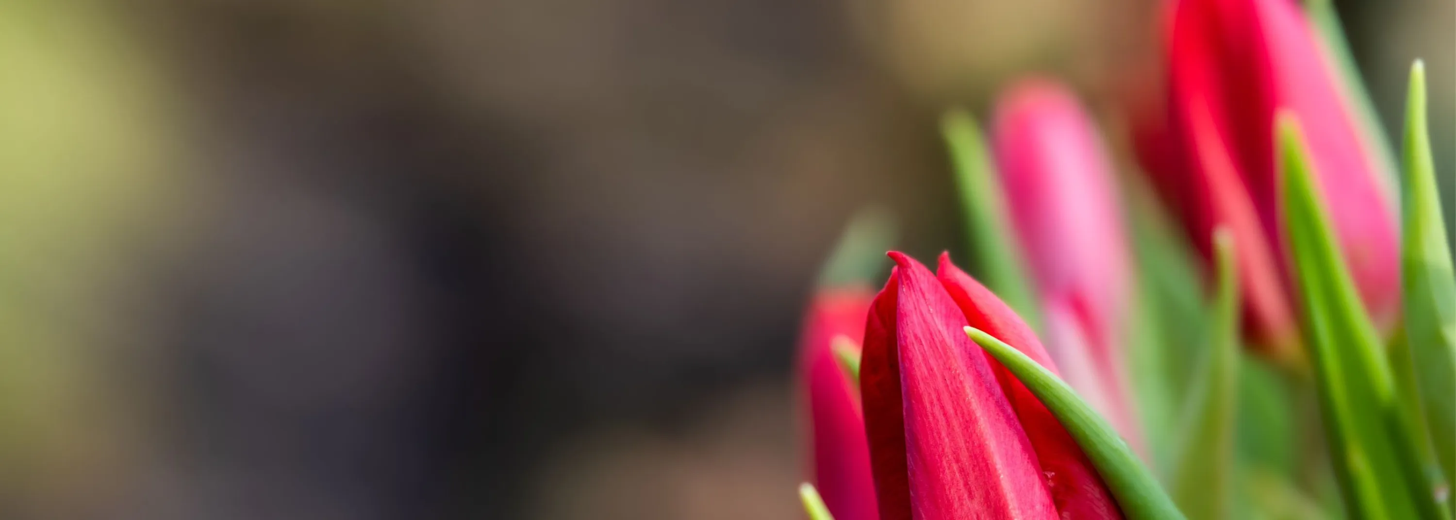 Tag der Arbeit - 1. Mai