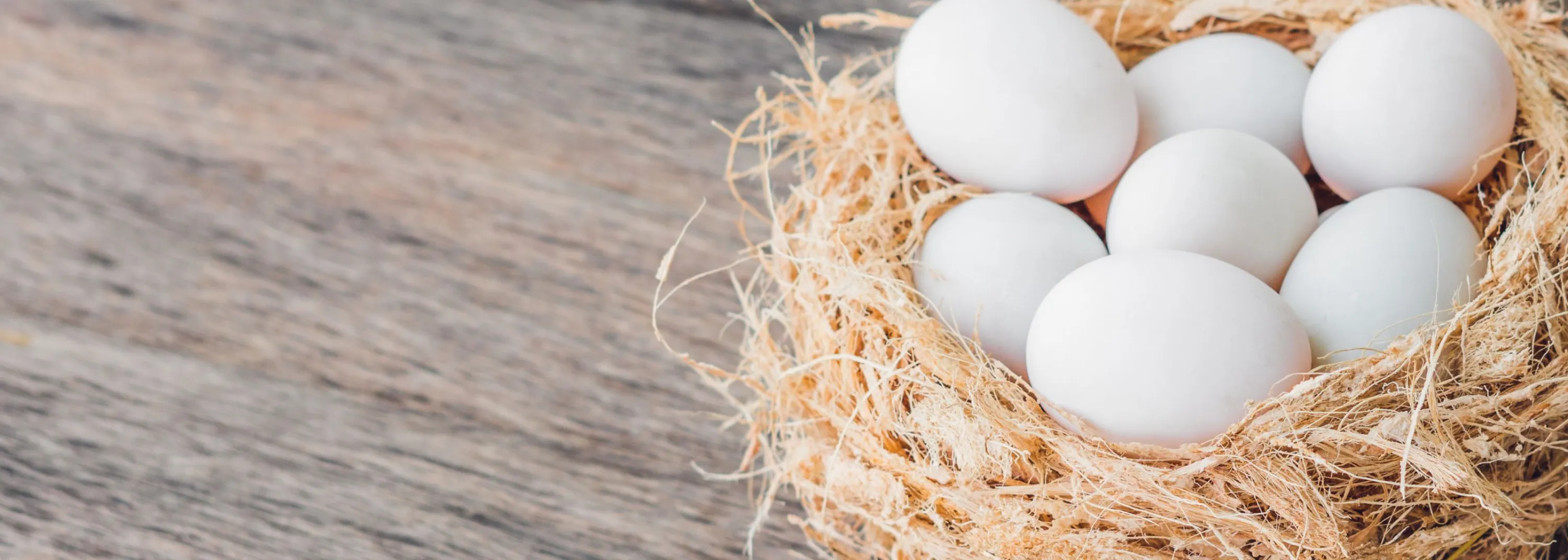 Frohe Ostern | Öffnungszeiten